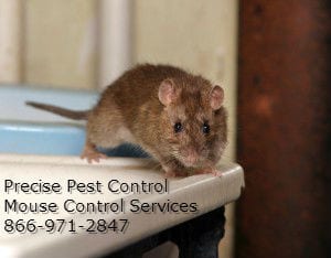 New Jersey Mouse Control