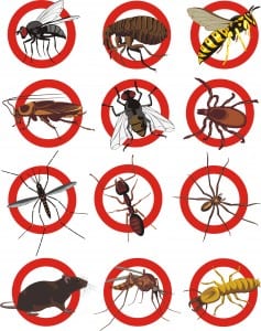 Bergen County General Pest Control 
