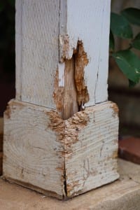 termite infestation damage 