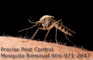 Bergen County Mosquito Control