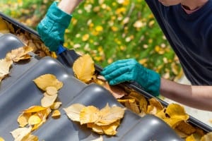 Bergen County Gutter Cleaning Services
