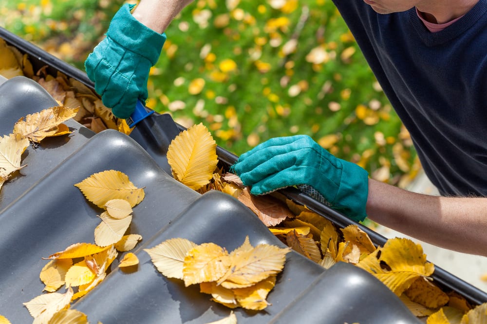 New Jersey Gutter Cleaning Services