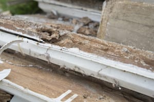 bergen county termite control