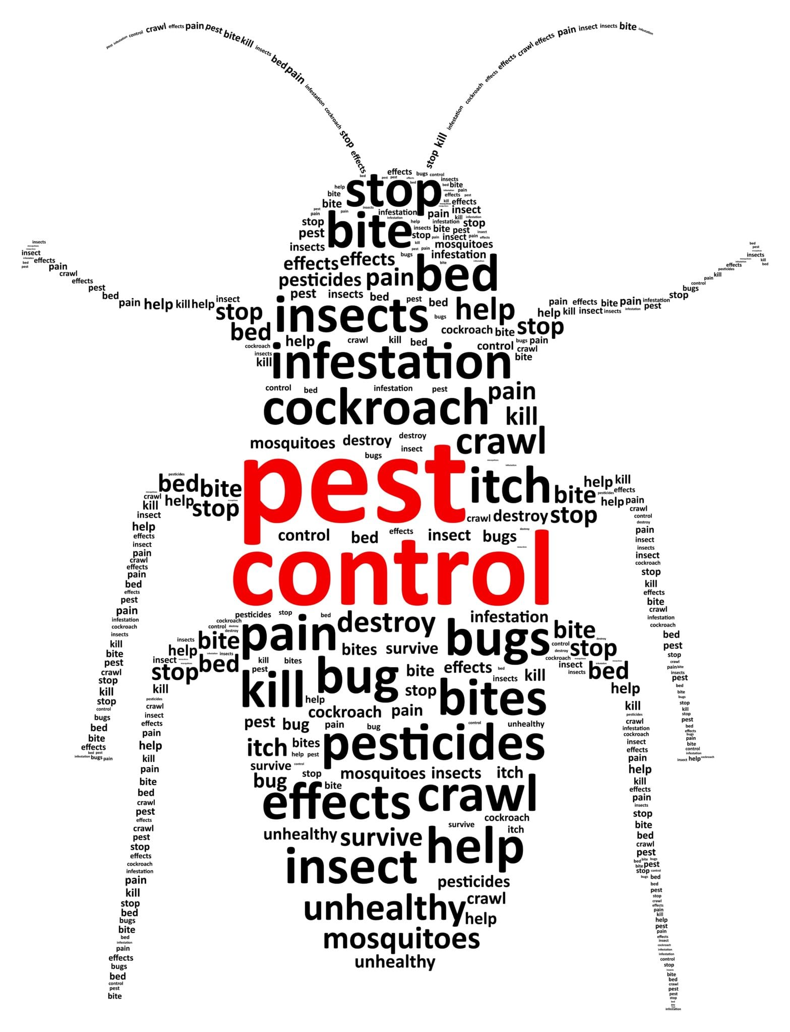 Precise Pest Control Spring Time Pest