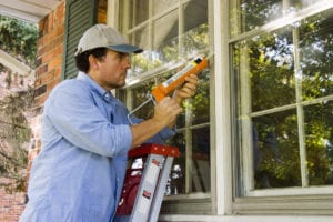 Defend your house against pests
