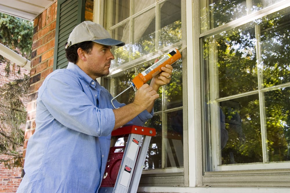 Defend your house against pests