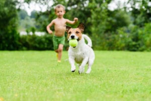 kid and dog in backyard playing