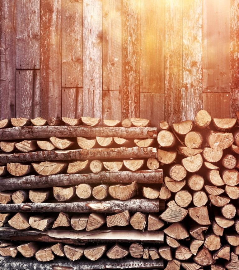 Preventing Infestations of Wood Boring Insects & Firewood Pests