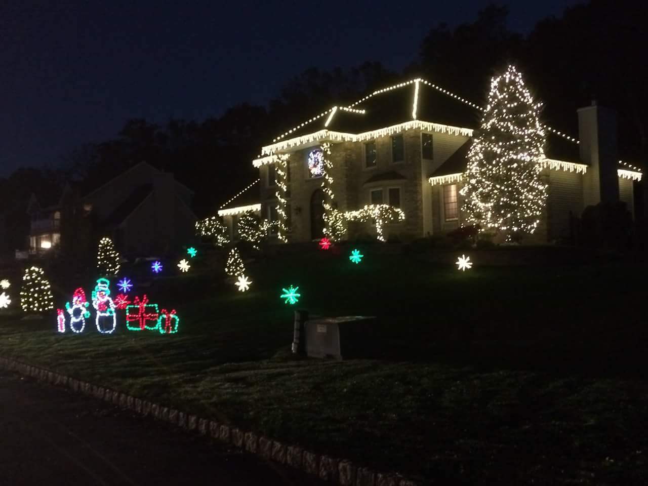 house with Christmas light in the yard