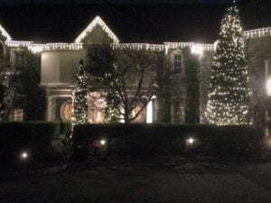 house and trees with Christmas lights