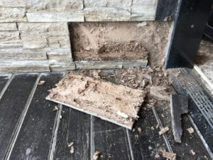 termite damage in the wall of a home