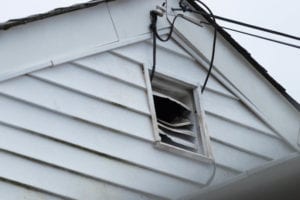 animal window entrance to attic of house