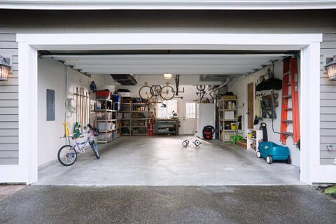 Ants in the Garage: Why They’re There and How to Get Rid of Them ...