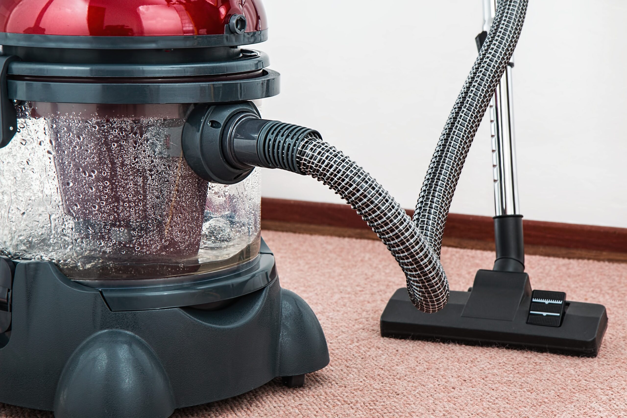a carpet that has been cleaned with a vacuum